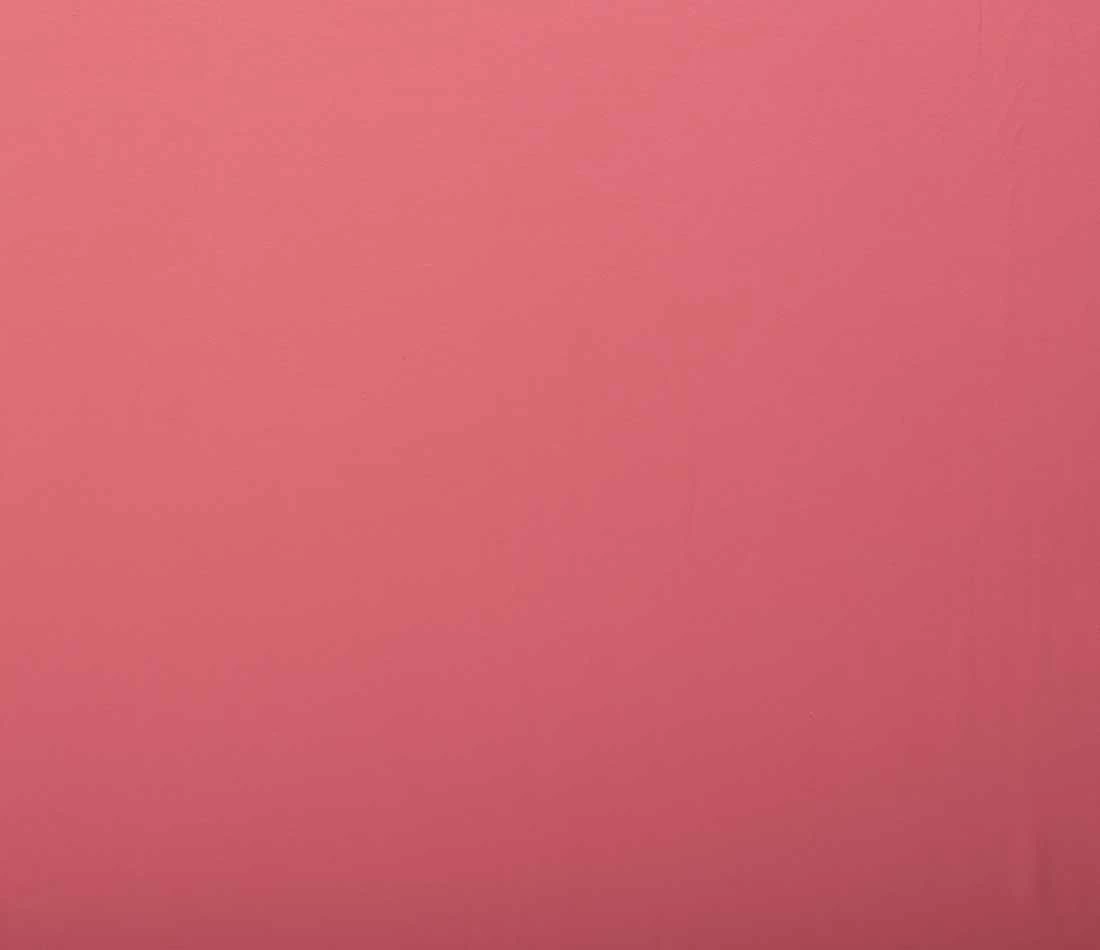 French Terry Loop Back | Salmon 3 French Terry Loop Back | Salmon