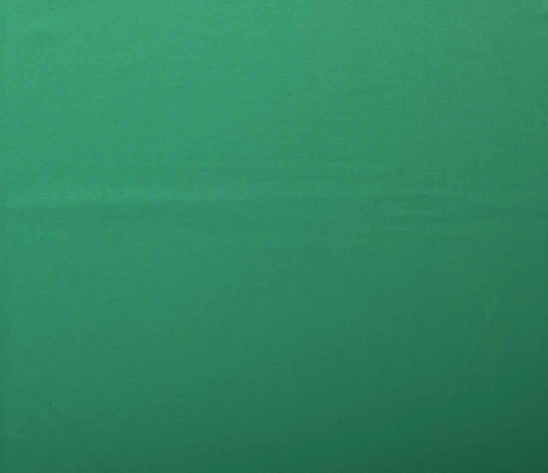 Classic Sweatshirt Fabric | Green 4 Classic Sweatshirt Fabric | Green - Image 2