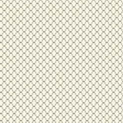 Midnight Haunt Halloween Fabric | Haunted Check Parchment